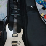 Electric Guitar and Bass bag Super padded