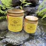 Scented Candles | Summer Cocktails Series - 250ML - Large