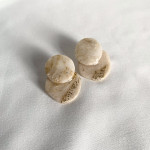 Swim with Style Basics, Silica